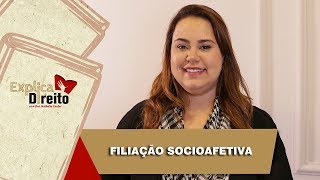 Explica Direito Filiação Socioafetiva  2019 [upl. by Nosae]